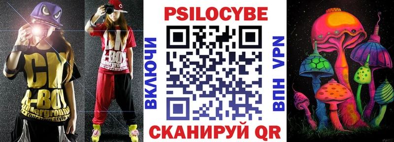 сколько стоит Ногинск Псилоцибиновые грибы Psilocybine cubensis